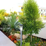 Barone Castro (Lecce)