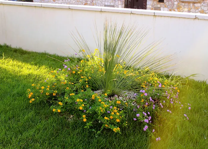 Barone 住宿加早餐酒店 3*